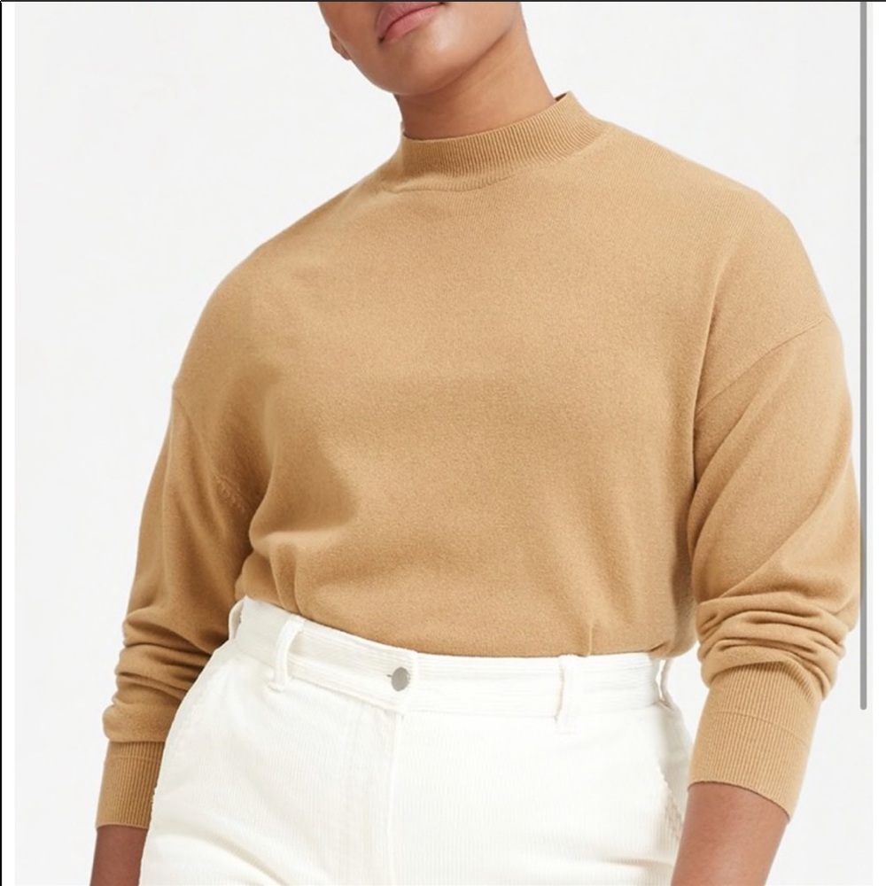 Everlane cashmere mockneck sweater